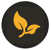 Ecologically Friendly